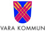 VARA nya copy300