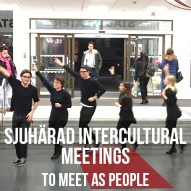 Interkulturella Sjuhäradsmöten
